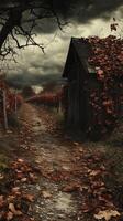 Path winds between vine rows toward storage building , photorealistic photo