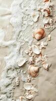 Shell fragments scattered in sand near surf line, wallpaper art photo