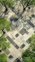 Trees arranged in patterns across plaza paving, wallpaper photo
