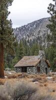 Stone cottage nestled among pine trees with distant mountains in background, photorealistic photo