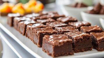 Row of brownie squares arranged on a rectangular serving platter, meal photography photo