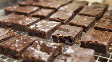 Fudge brownies cooling on a wire rack, the top layer smooth and shiny, food setting photo