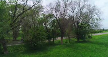 The drone flies on a country road with a truck on it. There are green fields and trees around. video