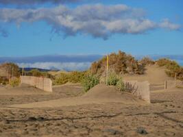 Special fence barriers for conservation ecosystem plants of dune in Maspalomas, Gran Canaria. Natural reserve to protect Traganum Moquinii plant, which helps to form dunes and regulate sand movement photo