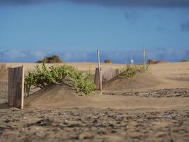 Special fence barriers for conservation ecosystem plants of dune in Maspalomas, Gran Canaria. Natural reserve to protect Traganum Moquinii plant, which helps to form dunes and regulate sand movement photo
