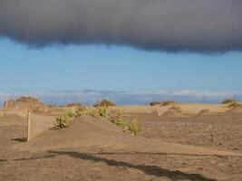 Special fence barriers for conservation ecosystem plants of dune in Maspalomas, Gran Canaria. Natural reserve to protect Traganum Moquinii plant, which helps to form dunes and regulate sand movement photo
