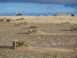 Special fence barriers for conservation ecosystem plants of dune in Maspalomas, Gran Canaria. Natural reserve to protect Traganum Moquinii plant, which helps to form dunes and regulate sand movement photo