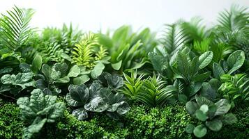 Lush Greenery of Various Tropical Plants Creating a Vibrant and Fresh Indoor Atmosphere with Rich Textures and Different Shades of Green for Home Decoration photo