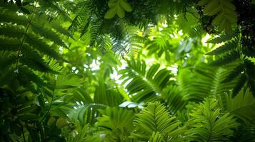 Lush Green Foliage Creating a Natural Canopy of Tranquil Beauty photo