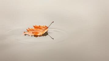 Minimalist Floating Leaf on Serene Water Surface Capturing Moment of Tranquility photo
