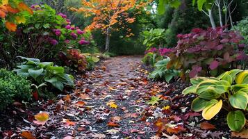 Enchanting Garden Path Adorned with Vibrant Foliage photo