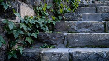 Ivy Covered Stone Wall Blending Nature and Architecture photo
