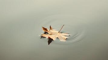 Minimalist Leaf Floating on Tranquil Water Surface photo