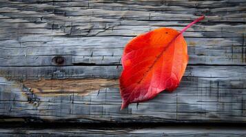 Vibrant Autumn Leaf on Minimalist Wooden Surface photo