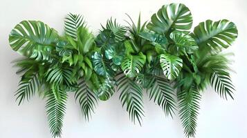 Tropical Foliage Wall Arrangement with Monstera and Palm Leaves in 3D Rendering photo