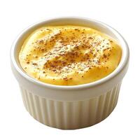 Creamy and Smooth Homemade Custard in a White Ramekin with a Dusting of Nutmeg for a Delightful Dessert Experience photo
