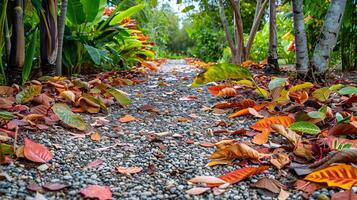 Welcoming Garden Path With Lush Autumn Foliage Creating Serene Outdoor Entrance photo