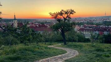 Time lapse of sunrise in summer in a park above Prague video