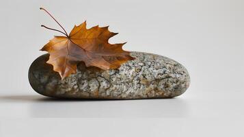 Fallen Leaf Resting on Smooth Stone Minimalist Nature Photography photo