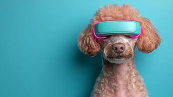 A fluffy poodle wearing stylish VR goggles explores a vibrant digital world in a bright blue environment photo