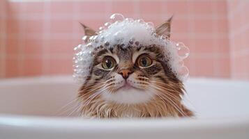 A fluffy cat relaxes in a bathtub filled with bubbles, looking adorable and content photo