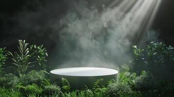 Misty Forest Podium is lit by Enigmatic Light, forming captivating and mysterious ambiance photo