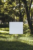 Blank sign in the park photo