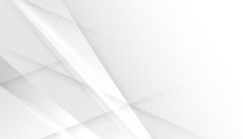 Abstract Elegant white and grey Background vector