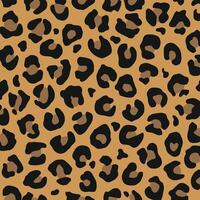 leopard pattern. animal pattern, abstract background. vector