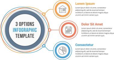 Circle infographic template with three steps or options, workflow or process diagram vector