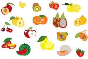 Set of fruit - papaya, orange, nectarine, ugly fruit, watermelon, hog plum, strawberry, raspberry, quince, mango, lemon, kiwi, melon, cherry, banana, apple in white background vector