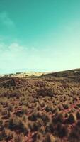 Sparse Grass Desert Landscape Under Blue Sky video