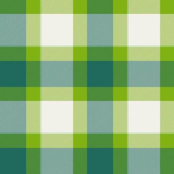 Textile seamless fabric of pattern texture background with a check plaid tartan. vector