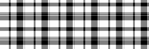 Fall background pattern, isolation fabric texture textile. Halloween tartan plaid check seamless in gray and white colors. vector