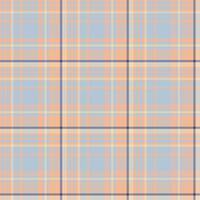 Plaid seamless pattern. background of textile ornament. Flat fabric design. vector