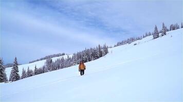 A man with a backpack travels in the mountains in winter. Carpathian mountain range. The concept of travel and active lifestyle. video
