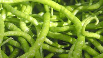 slow motion of dropping Vibrant green chilies . video