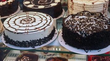 An Assortment of Tempting Chocolate Cakes Beautifully Arranged in a Bakery Display video
