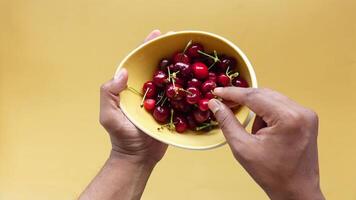 Hands gently cradle a yellow bowl filled with fresh, luscious cherries video