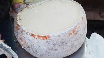 Large Wheel of Cheese in Rustic Outdoor Market Setting video