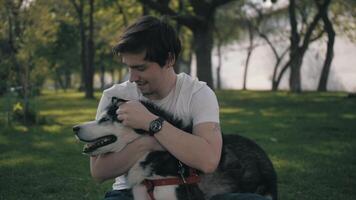 man caressing Husky dog and sitting on grass in park during stroll. video