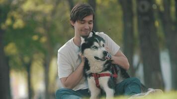 man caressing Husky dog and sitting on grass in park during stroll. video