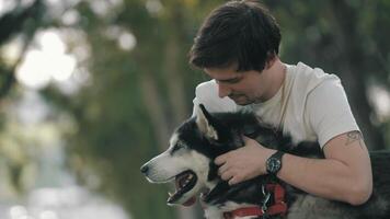 Man caressing Husky dog and sitting on grass in park during stroll. video