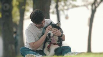Man caressing Husky dog and sitting on grass in park during stroll. video
