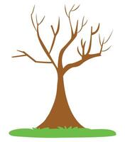 Root tree isolated on white background vector