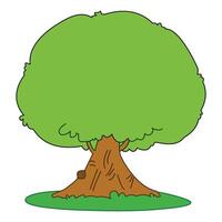 Tree isolated on a white background vector