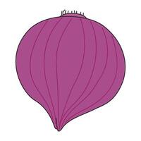 Fresh onion isolated on a white background vector