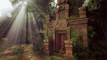 Sunlight Filters Through Dense Forest, Illuminating Ancient Temple Ruins. video