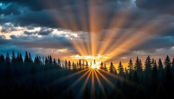The sun is setting behind the trees, casting a warm glow over the forest photo
