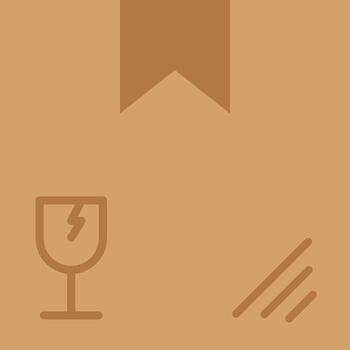 frágil icono imagen. adecuado para móvil aplicaciones, web aplicaciones y impresión medios de comunicación. vector